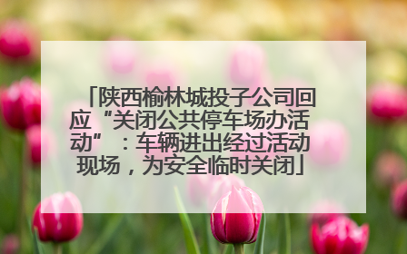 陕西榆林城投子公司回应“关闭公共停车场办活动”：车辆进出经过活动现场，为安全临时关闭