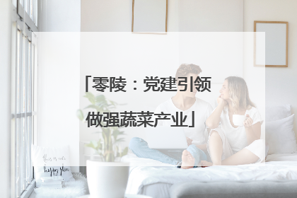 零陵：党建引领 做强蔬菜产业