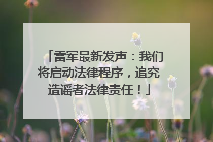 雷军最新发声：我们将启动法律程序，追究造谣者法律责任！