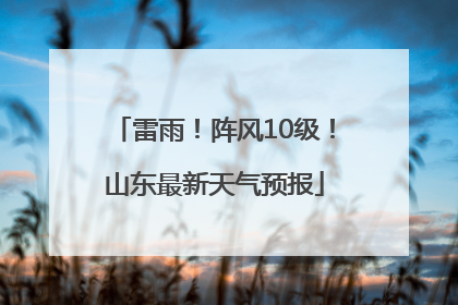 雷雨！阵风10级！山东最新天气预报