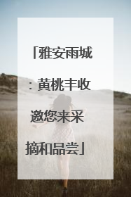 雅安雨城：黄桃丰收 邀您来采摘和品尝
