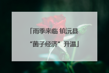 雨季来临 镇沅县“菌子经济”升温