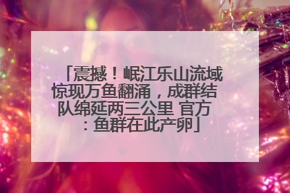 震撼！岷江乐山流域惊现万鱼翻涌，成群结队绵延两三公里 官方：鱼群在此产卵
