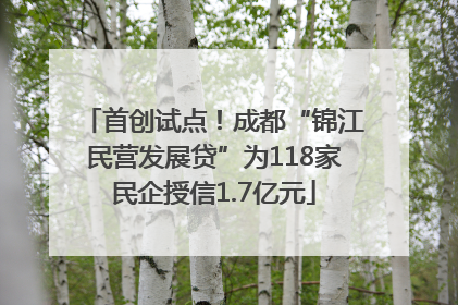 首创试点！成都“锦江民营发展贷”为118家民企授信1.7亿元