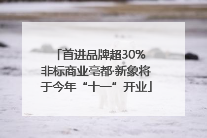 首进品牌超30% 非标商业亳都·新象将于今年“十一”开业
