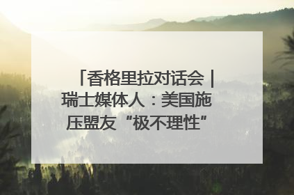 香格里拉对话会｜瑞士媒体人：美国施压盟友“极不理性” 欧洲国家无意与中国“脱钩断链”
