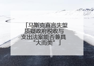 马斯克直言失望 质疑政府税收与支出法案能否兼具“大而美”