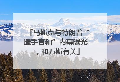 马斯克与特朗普“握手言和”内幕曝光，和万斯有关