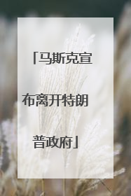 马斯克宣布离开特朗普政府