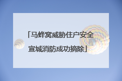 马蜂窝威胁住户安全 宣城消防成功摘除