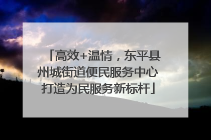 高效+温情，东平县州城街道便民服务中心打造为民服务新标杆
