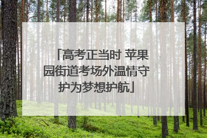 高考正当时 苹果园街道考场外温情守护为梦想护航