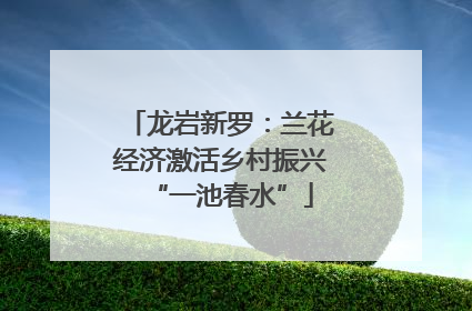 龙岩新罗：兰花经济激活乡村振兴“一池春水”