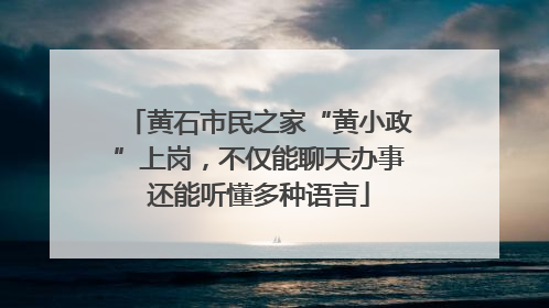 黄石市民之家“黄小政”上岗，不仅能聊天办事还能听懂多种语言