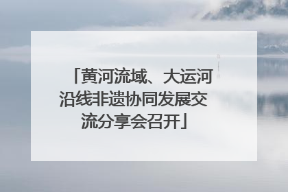 黄河流域、大运河沿线非遗协同发展交流分享会召开