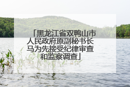 黑龙江省双鸭山市人民政府原副秘书长马为先接受纪律审查和监察调查