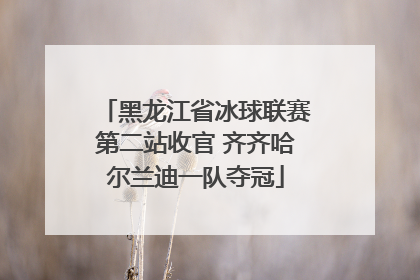 黑龙江省冰球联赛第二站收官 齐齐哈尔兰迪一队夺冠