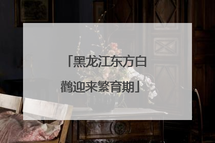 黑龙江东方白鹳迎来繁育期