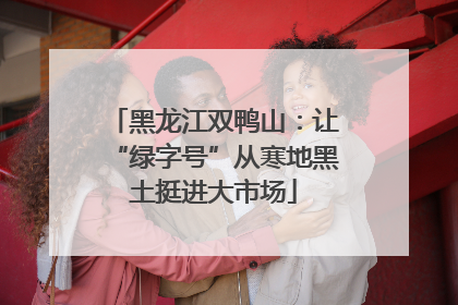 黑龙江双鸭山：让“绿字号”从寒地黑土挺进大市场