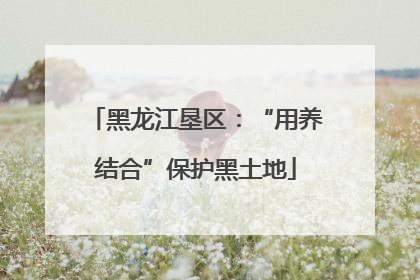 黑龙江垦区：“用养结合”保护黑土地