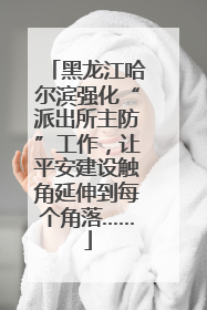 黑龙江哈尔滨强化“派出所主防”工作，让平安建设触角延伸到每个角落……