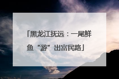 黑龙江抚远：一尾鲜鱼“游”出富民路