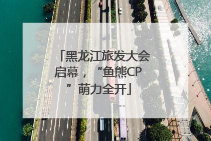 黑龙江旅发大会启幕，“鱼熊CP”萌力全开