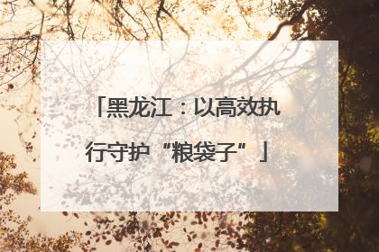 黑龙江：以高效执行守护“粮袋子”