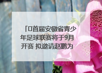 ﻿首届安徽省青少年足球联赛将于9月开赛 拟邀请赵鹏为先导赛开球