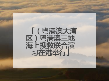 （粤港澳大湾区）粤港澳三地海上搜救联合演习在港举行