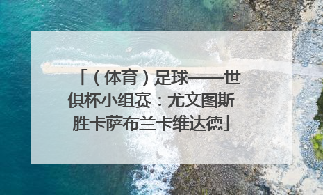 （体育）足球——世俱杯小组赛：尤文图斯胜卡萨布兰卡维达德