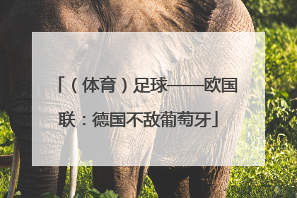 （体育）足球——欧国联：德国不敌葡萄牙
