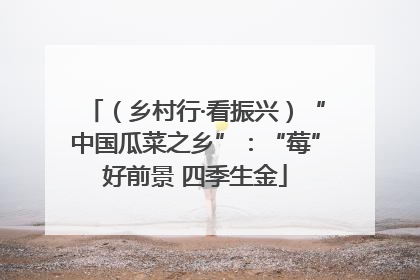 （乡村行·看振兴）“中国瓜菜之乡”：“莓”好前景 四季生金
