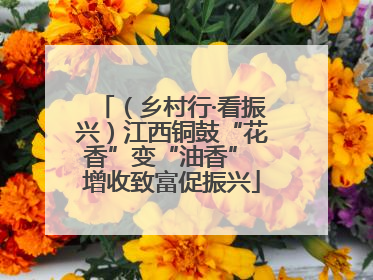 （乡村行·看振兴）江西铜鼓“花香”变“油香” 增收致富促振兴