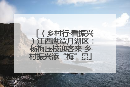 （乡村行·看振兴）江西鹰潭月湖区：杨梅压枝迎客来 乡村振兴添“梅”景
