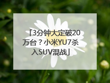 3分钟大定破20万台？小米YU7杀入SUV混战