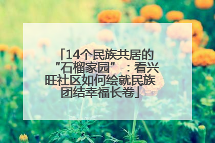 14个民族共居的“石榴家园”：看兴旺社区如何绘就民族团结幸福长卷