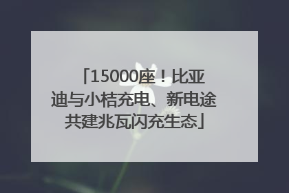 15000座！比亚迪与小桔充电、新电途共建兆瓦闪充生态