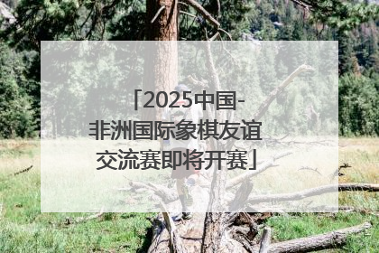 2025中国-非洲国际象棋友谊交流赛即将开赛