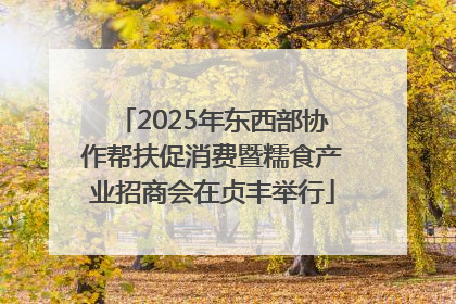2025年东西部协作帮扶促消费暨糯食产业招商会在贞丰举行