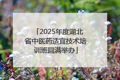 2025年度湖北省中医药适宜技术培训班圆满举办