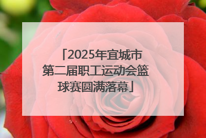 2025年宜城市第二届职工运动会篮球赛圆满落幕