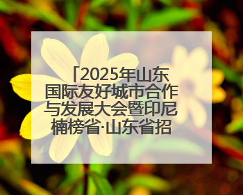 2025年山东国际友好城市合作与发展大会暨印尼楠榜省·山东省招商交流会在济南槐荫举行