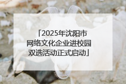 2025年沈阳市网络文化企业进校园双选活动正式启动