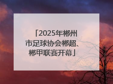 2025年郴州市足球协会郴超、郴甲联赛开幕