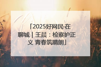 2025好网民·在聊城｜王晨：检察护正义 青春筑晴朗