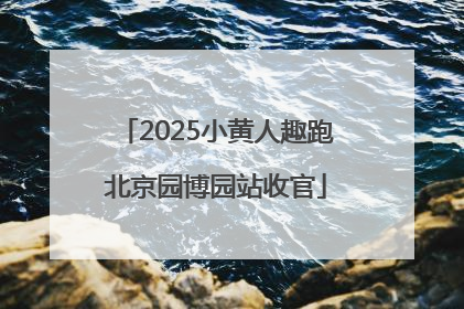 2025小黄人趣跑北京园博园站收官