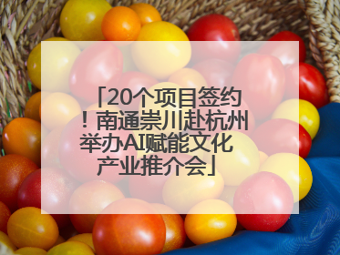 20个项目签约！南通崇川赴杭州举办AI赋能文化产业推介会