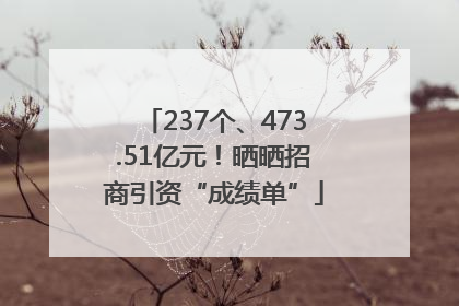 237个、473.51亿元！晒晒招商引资“成绩单”