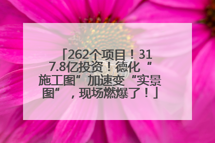 262个项目！317.8亿投资！德化“施工图”加速变“实景图”，现场燃爆了！